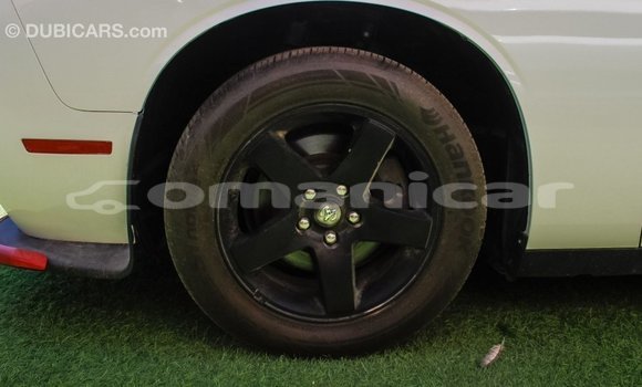 Buy Import Dodge Challenger White Car in Import - Dubai in Dhufar Buy Import Dodge Challenger White Car in Import - Dubai in Dhufar