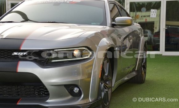 Buy Import Dodge Charger Other Car in Import - Dubai in Dhufar Buy Import Dodge Charger Other Car in Import - Dubai in Dhufar