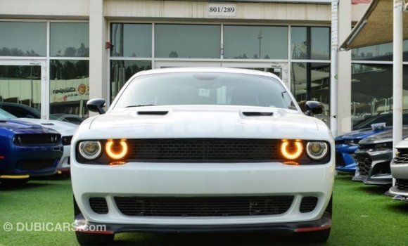 Buy Import Dodge Challenger White Car in Import - Dubai in Dhufar Buy Import Dodge Challenger White Car in Import - Dubai in Dhufar