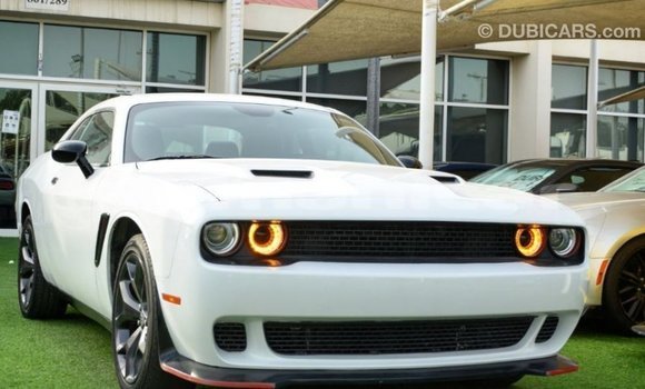 Buy Import Dodge Challenger White Car in Import - Dubai in Dhufar Buy Import Dodge Challenger White Car in Import - Dubai in Dhufar