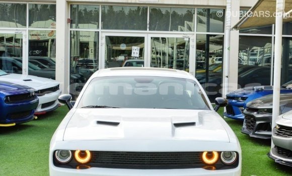 Buy Import Dodge Challenger White Car in Import - Dubai in Dhufar Buy Import Dodge Challenger White Car in Import - Dubai in Dhufar