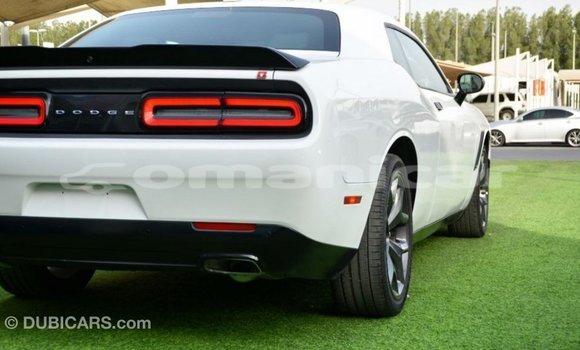 Buy Import Dodge Challenger White Car in Import - Dubai in Dhufar Buy Import Dodge Challenger White Car in Import - Dubai in Dhufar