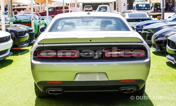 Buy Import Dodge Challenger Other Car in Import - Dubai in Dhufar Buy Import Dodge Challenger Other Car in Import - Dubai in Dhufar