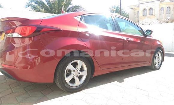 Buy Used Hyundai Elantra Red Car in Muscat in Masqat Buy Used Hyundai Elantra Red Car in Muscat in Masqat