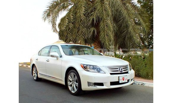 Buy Import Lexus LS White Car in Import - Dubai in Dhufar