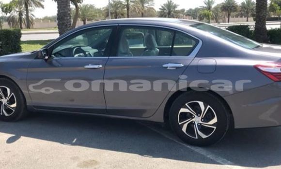 Buy Used Honda Accord Other Car in Muscat in Masqat Buy Used Honda Accord Other Car in Muscat in Masqat