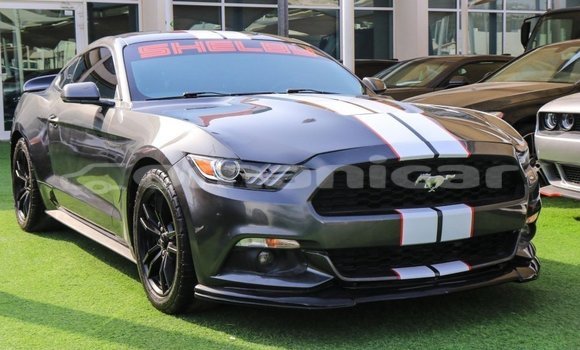 Buy Import Ford Mustang Other Car in Import - Dubai in Dhufar