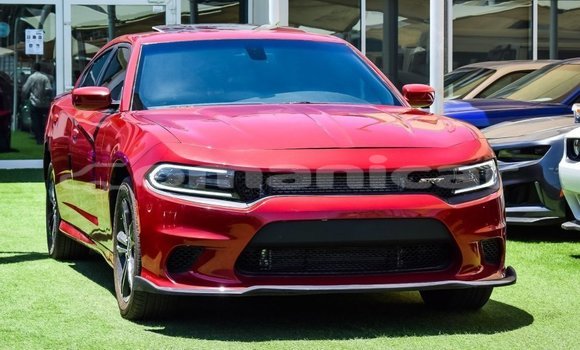 Buy Import Dodge Charger Red Car in Import - Dubai in Dhufar