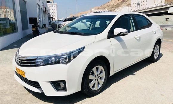Buy Used Toyota Corolla White Car in Muscat in Masqat Buy Used Toyota Corolla White Car in Muscat in Masqat