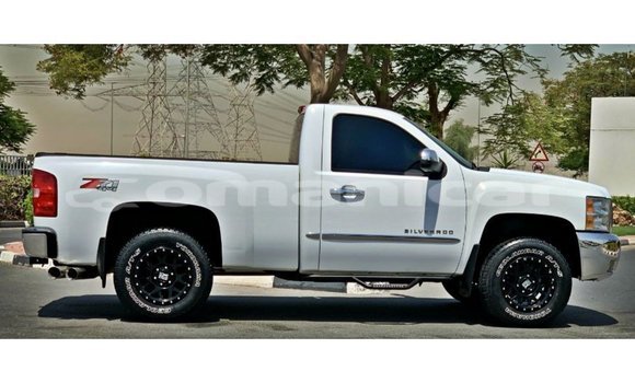Buy Import Chevrolet Silverado White Car in Import - Dubai in Dhufar Buy Import Chevrolet Silverado White Car in Import - Dubai in Dhufar