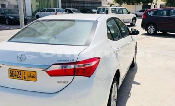 Buy Used Toyota Corolla White Car in Muscat in Masqat Buy Used Toyota Corolla White Car in Muscat in Masqat