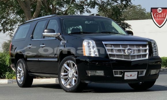 Buy Import Cadillac Escalade Black Car in Import - Dubai in Dhufar