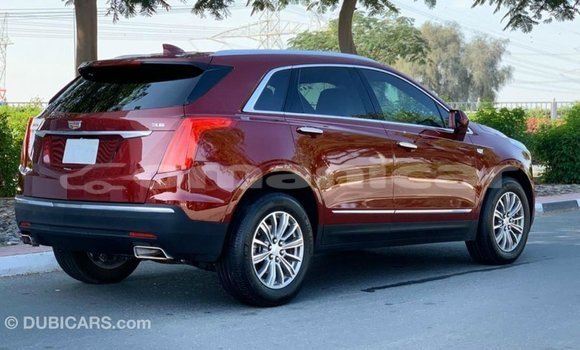 Buy Import Cadillac XT5 Red Car in Import - Dubai in Dhufar Buy Import Cadillac XT5 Red Car in Import - Dubai in Dhufar