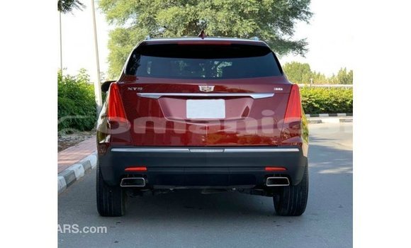 Buy Import Cadillac XT5 Red Car in Import - Dubai in Dhufar Buy Import Cadillac XT5 Red Car in Import - Dubai in Dhufar
