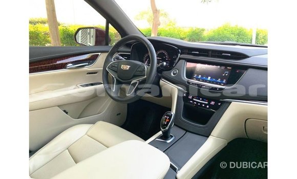 Buy Import Cadillac XT5 Red Car in Import - Dubai in Dhufar Buy Import Cadillac XT5 Red Car in Import - Dubai in Dhufar