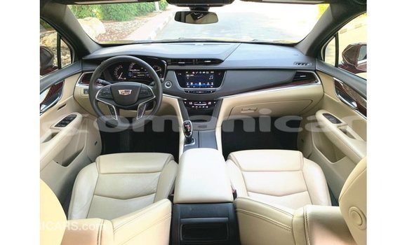 Buy Import Cadillac XT5 Red Car in Import - Dubai in Dhufar Buy Import Cadillac XT5 Red Car in Import - Dubai in Dhufar