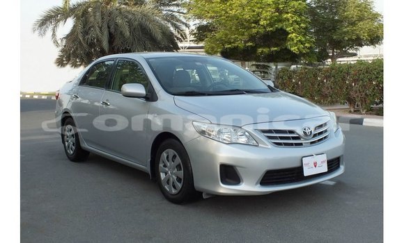 Buy Import Toyota Corolla Other Car in Import - Dubai in Dhufar