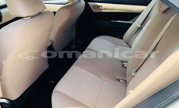Buy Used Toyota Corolla White Car in Muscat in Masqat Buy Used Toyota Corolla White Car in Muscat in Masqat
