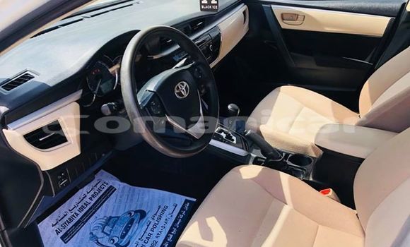 Buy Used Toyota Corolla White Car in Muscat in Masqat Buy Used Toyota Corolla White Car in Muscat in Masqat