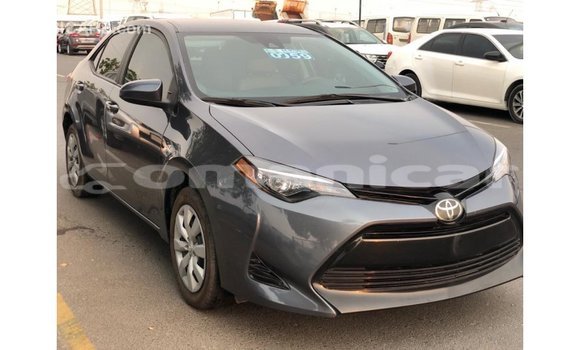 Buy Import Toyota Corolla Other Car in Import - Dubai in Dhufar Buy Import Toyota Corolla Other Car in Import - Dubai in Dhufar