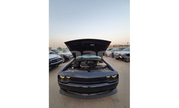 Buy Import Dodge Challenger Black Car in Import - Dubai in Dhufar Buy Import Dodge Challenger Black Car in Import - Dubai in Dhufar