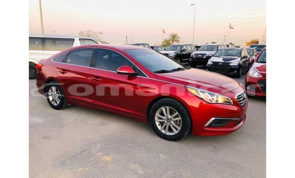Buy Import Hyundai Sonata Red Car in Import - Dubai in Dhufar Buy Import Hyundai Sonata Red Car in Import - Dubai in Dhufar