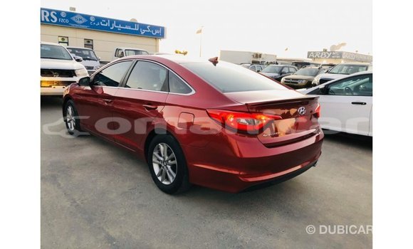 Buy Import Hyundai Sonata Red Car in Import - Dubai in Dhufar Buy Import Hyundai Sonata Red Car in Import - Dubai in Dhufar