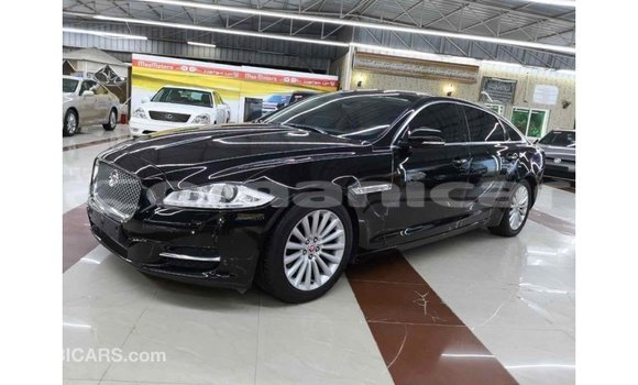 Buy Import Jaguar XJ Black Car in Import - Dubai in Dhufar Buy Import Jaguar XJ Black Car in Import - Dubai in Dhufar