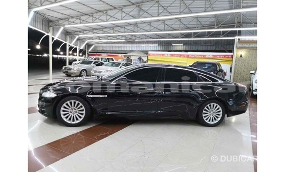 Buy Import Jaguar XJ Black Car in Import - Dubai in Dhufar Buy Import Jaguar XJ Black Car in Import - Dubai in Dhufar