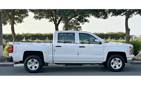 Buy Import Chevrolet Silverado White Car in Import - Dubai in Dhufar Buy Import Chevrolet Silverado White Car in Import - Dubai in Dhufar