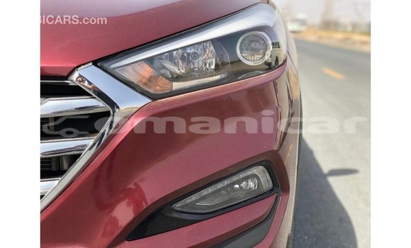 Buy Import Hyundai Tucson Red Car in Import - Dubai in Dhufar Buy Import Hyundai Tucson Red Car in Import - Dubai in Dhufar