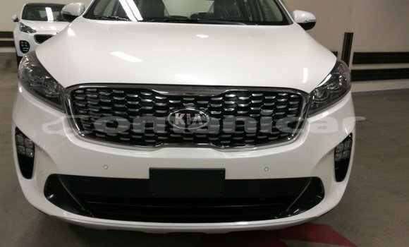 Buy Import Kia Sorento White Car in Import - Dubai in Dhufar
