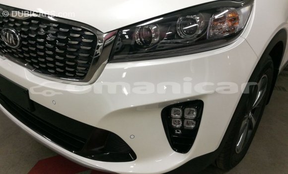 Buy Import Kia Sorento White Car in Import - Dubai in Dhufar Buy Import Kia Sorento White Car in Import - Dubai in Dhufar