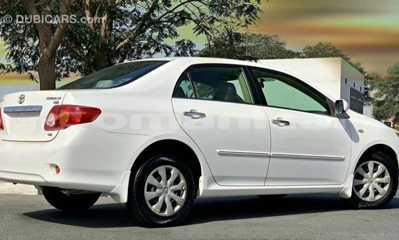Buy Import Toyota Corolla White Car in Import - Dubai in Dhufar Buy Import Toyota Corolla White Car in Import - Dubai in Dhufar