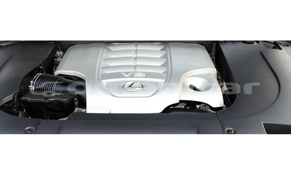 Buy Import Lexus LX White Car in Import - Dubai in Dhufar Buy Import Lexus LX White Car in Import - Dubai in Dhufar