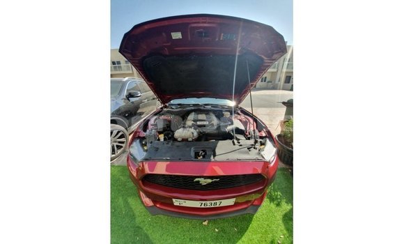 Buy Import Ford Mustang Red Car in Import - Dubai in Dhufar Buy Import Ford Mustang Red Car in Import - Dubai in Dhufar