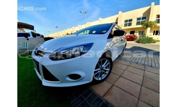 Buy Import Ford Focus White Car in Import - Dubai in Dhufar Buy Import Ford Focus White Car in Import - Dubai in Dhufar
