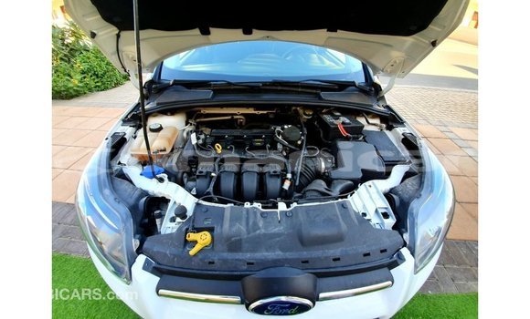 Buy Import Ford Focus White Car in Import - Dubai in Dhufar Buy Import Ford Focus White Car in Import - Dubai in Dhufar
