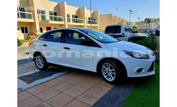Buy Import Ford Focus White Car in Import - Dubai in Dhufar Buy Import Ford Focus White Car in Import - Dubai in Dhufar
