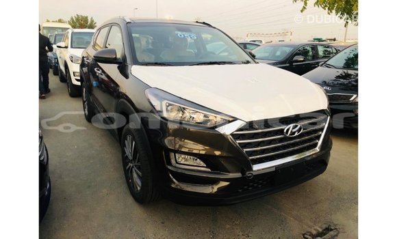 Buy Import Hyundai Tucson Brown Car in Import - Dubai in Dhufar Buy Import Hyundai Tucson Brown Car in Import - Dubai in Dhufar