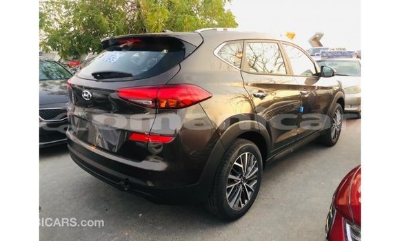 Buy Import Hyundai Tucson Brown Car in Import - Dubai in Dhufar Buy Import Hyundai Tucson Brown Car in Import - Dubai in Dhufar