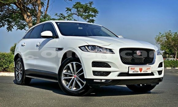 Buy Import Jaguar F-Pace White Car in Import - Dubai in Dhufar