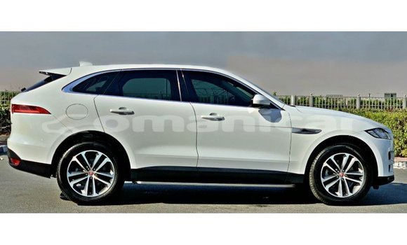 Buy Import Jaguar F-Pace White Car in Import - Dubai in Dhufar Buy Import Jaguar F-Pace White Car in Import - Dubai in Dhufar