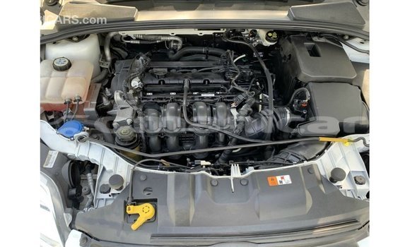 Buy Import Ford Focus White Car in Import - Dubai in Dhufar Buy Import Ford Focus White Car in Import - Dubai in Dhufar