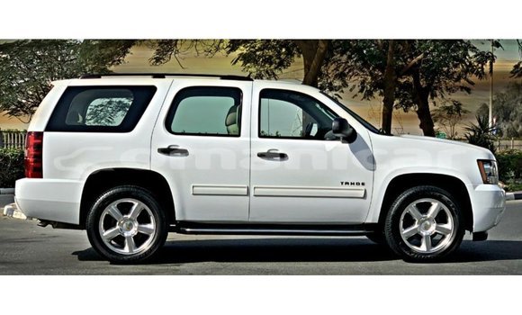 Buy Import Chevrolet Tahoe White Car in Import - Dubai in Dhufar Buy Import Chevrolet Tahoe White Car in Import - Dubai in Dhufar