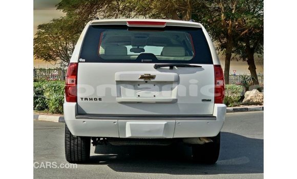 Buy Import Chevrolet Tahoe White Car in Import - Dubai in Dhufar Buy Import Chevrolet Tahoe White Car in Import - Dubai in Dhufar