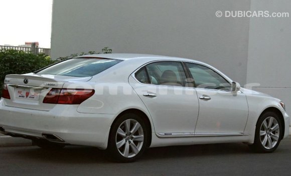 Buy Import Lexus LS White Car in Import - Dubai in Dhufar Buy Import Lexus LS White Car in Import - Dubai in Dhufar