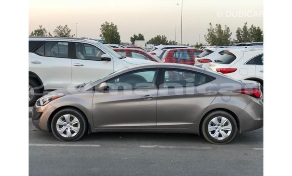 Buy Import Hyundai Elantra Brown Car in Import - Dubai in Dhufar Buy Import Hyundai Elantra Brown Car in Import - Dubai in Dhufar
