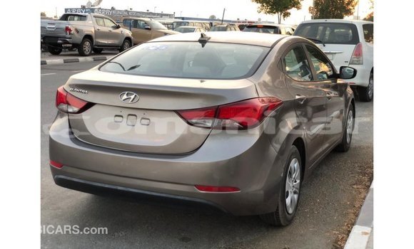 Buy Import Hyundai Elantra Brown Car in Import - Dubai in Dhufar Buy Import Hyundai Elantra Brown Car in Import - Dubai in Dhufar