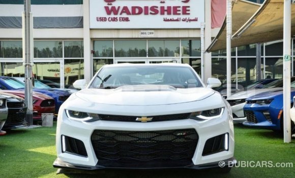 Buy Import Chevrolet Camaro White Car in Import - Dubai in Dhufar Buy Import Chevrolet Camaro White Car in Import - Dubai in Dhufar